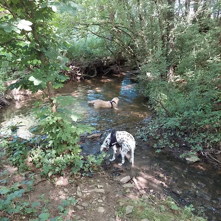 Apartman Les Mesanges