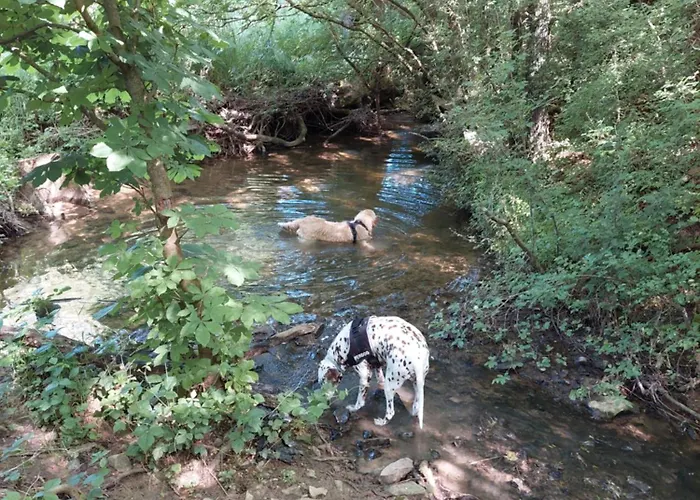 Apartmán Les Mesanges